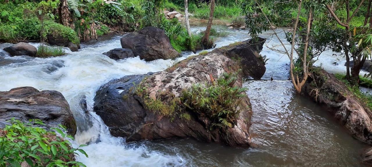 Linn View Home Stay Munnar Pokoj fotografie